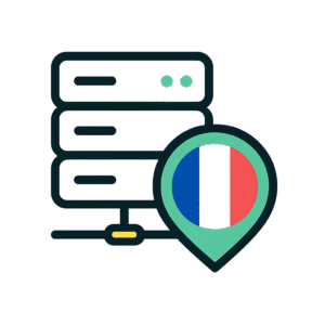 Icône vectorielle d’un serveur avec un repère de localisation contenant le drapeau bleu blanc rouge, symbolisant l’hébergement web en France.